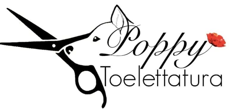 Poppy Toelettatura